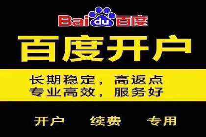 SEM推广案例：竞价代运营助力企业快速崛起